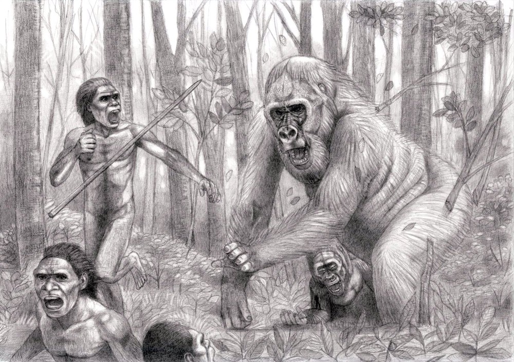 Vượn Gigantopithecus là một trong những vượn người lớn nhất trong lịch sử, tồn tại từ 5 triệu năm - 100.000 năm trước đây ở Việt Nam, Trung Quốc và Ấn Độ.